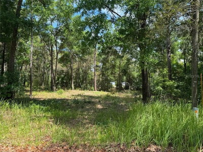 TBD PINE WAY Court, Ocala, FL, 34472 — photo 2