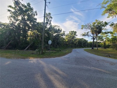 9840 SNOWBALL Point, Crystal River, FL, 34428 — photo 2