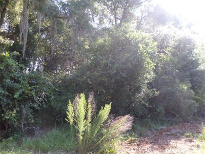 00 W. HIGHWAY 40, Dunnellon, FL, 34431 — photo 2