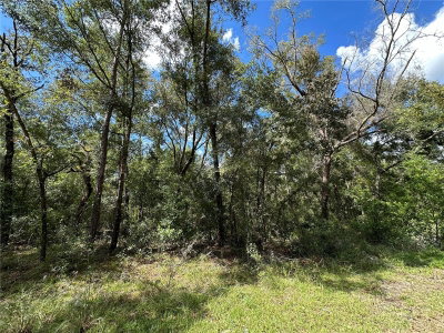000 156TH Avenue, Williston, FL, 32696 — photo 2
