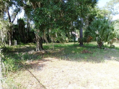 00 BLUE HERON CT, Dunnellon, FL, 34432 — photo 2