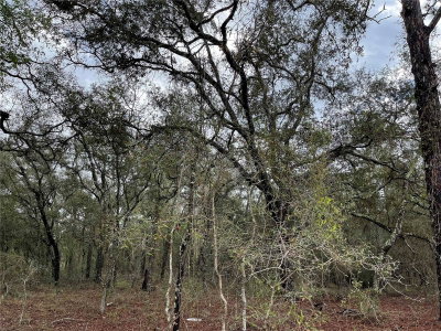 Lot 8 120 Avenue, Williston, FL, 32696 — photo 2