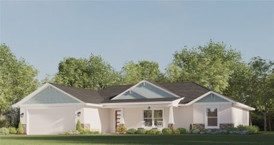 TBD BAY CT Run, Ocklawaha, FL, 32179 — photo 2