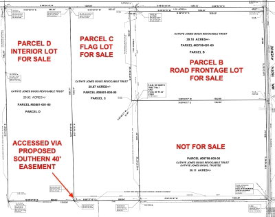 Parcel C 160TH Avenue, Morriston, FL, 32668 — photo 2