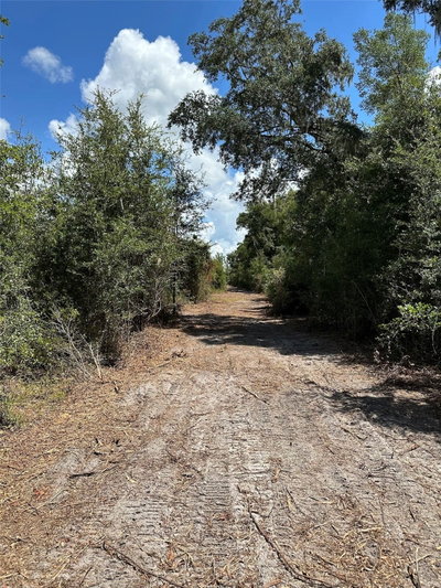 Parcel D 160TH Avenue, Morriston, FL, 32668 — photo 2