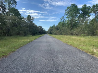 00 139TH TERR LOT 11, Morriston, FL, 32668 — photo 2