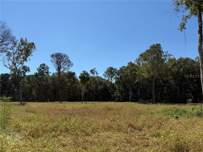 62ac 193RD ST, Micanopy, FL, 32667 — photo 2