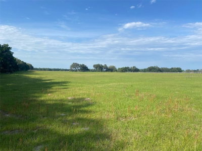 163 Terrace, Morriston, FL, 32668 — photo 2