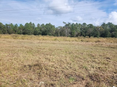 MARICAMP Road, Ocala, FL, 34472 — photo 2