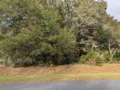 000 BEACH Boulevard, Dunnellon, FL, 34431 — photo 2