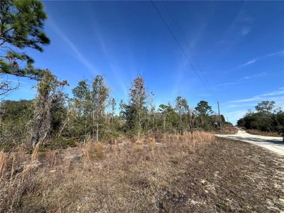 tbd 117TH Terrace, Williston, FL, 32696 — photo 2