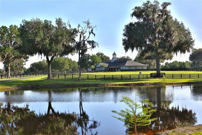 13375 HIGHWAY 318, Williston, FL, 32696 — photo 2