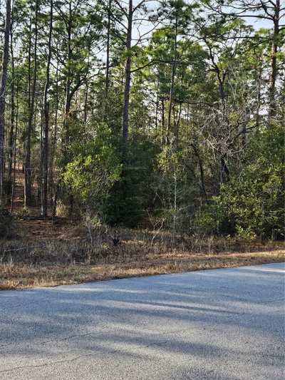ADMIRAL LANDING DR., Dunnellon, FL, 34431 — photo 2