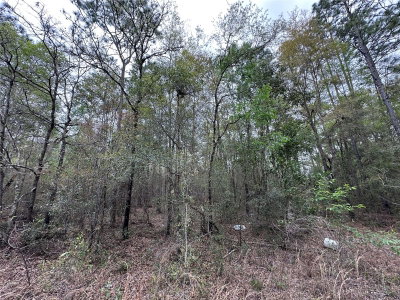 tbd 154TH Avenue, Williston, FL, 32696 — photo 2