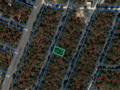 tbd 154TH Avenue, Williston, FL, 32696 — photo 2
