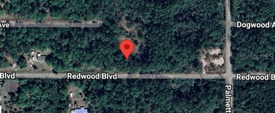 324 REDWOOD Boulevard, Georgetown, FL, 32139 — photo 2