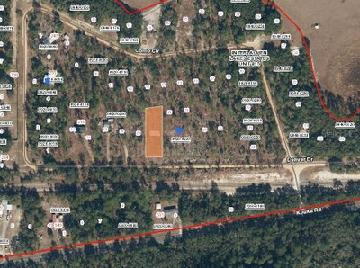 00 DENVER Drive, Interlachen, FL, 32148 — photo 2