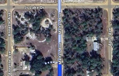 00 MALTAS Avenue, Interlachen, FL, 32148 — photo 2