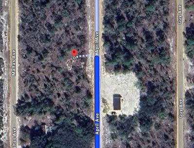 00 APRIL Avenue, Interlachen, FL, 32148 — photo 2