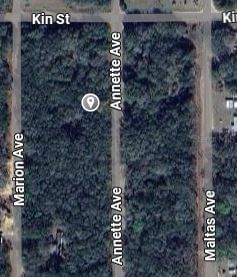 ANNETTE Avenue, Interlachen, FL, 32148 — photo 2