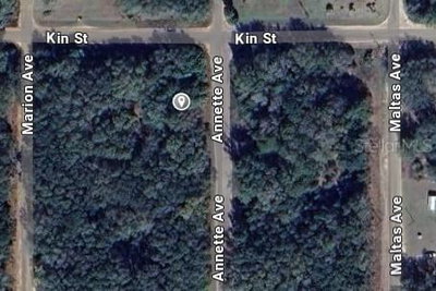 ANNETTE Avenue, Interlachen, FL, 32148 — photo 2