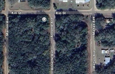 ANNETTE Avenue, Interlachen, FL, 32148 — photo 2