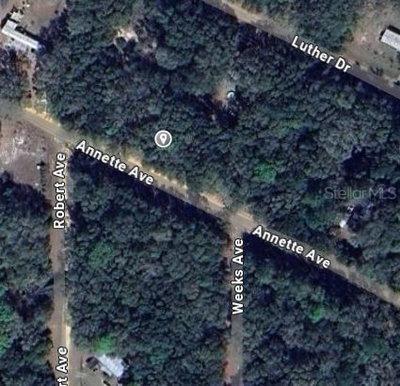ANNETTE Avenue, Interlachen, FL, 32148 — photo 2
