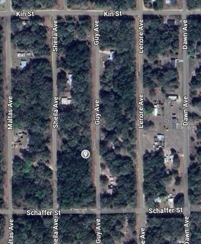 GUY Avenue, Interlachen, FL, 32148 — photo 2
