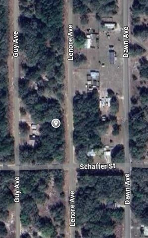 LENORE Avenue, Interlachen, FL, 32148 — photo 2