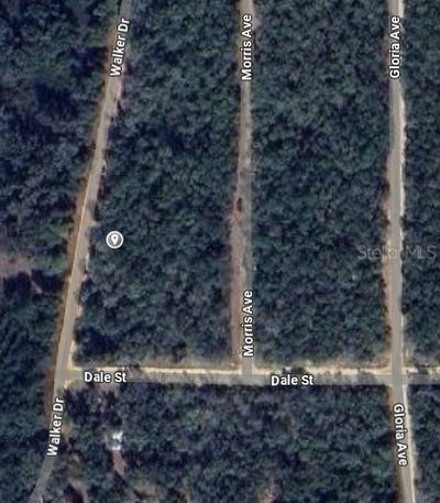 00 WALKER Drive, Interlachen, FL, 32148 — photo 2
