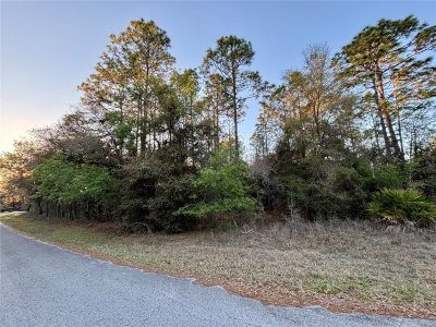 Lot 33 97 Place, Dunnellon, FL, 34431 — photo 2