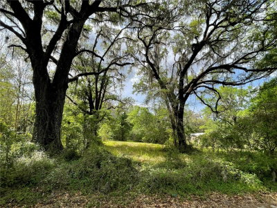 17400 120TH AVE Road, Reddick, FL, 32686 — photo 2