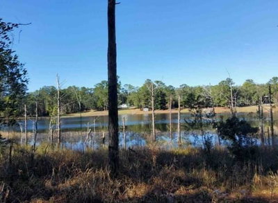 Lot 138 168TH Terrace, Ocklawaha, FL, 32179 — photo 2