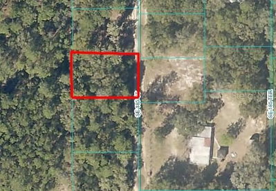 185TH Court, Ocklawaha, FL, 32179 — photo 2