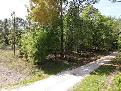 29 Lane, Ocala, FL, 34481 — photo 2
