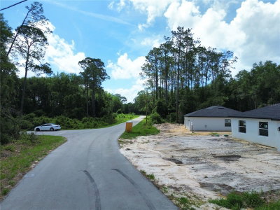 TBD LOCUST RUN DRIVE, Ocala, FL, 34472 — photo 2