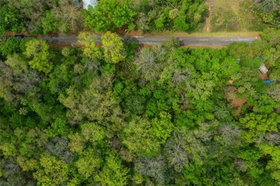 5043 PALO VERDE Point, Homosassa, FL, 34448 — photo 2