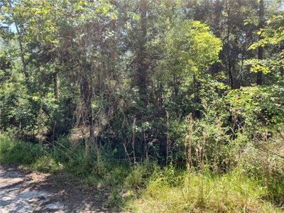 0000 66TH Avenue, Citra, FL, 32113 — photo 2