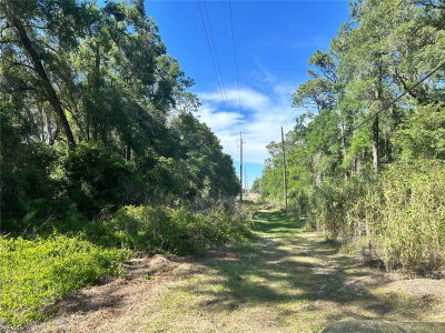 9319 FLORIDA Avenue, Floral City, FL, 34436 — photo 2
