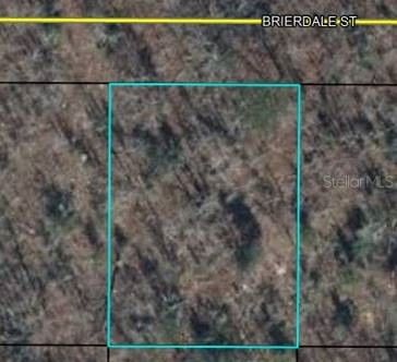 Lot 3 BRIERDALE Street, Chipley, FL, 32428 — photo 2