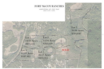 150TH AVE Road, Fort Mc Coy, FL, 32134 — photo 2