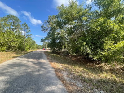 TBD SEQUOIA Drive, Ocklawaha, FL, 32179 — photo 2