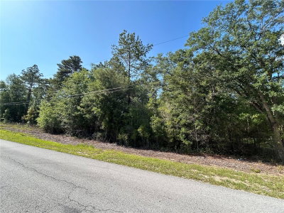 TBD AUDUBON Avenue, Dunnellon, FL, 34432 — photo 2