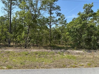 Lot 20 ANCHOR BLVD, Dunnellon, FL, 34431 — photo 2