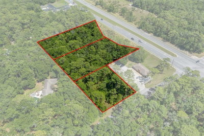 2767 NORVELL BRYANT Highway, Lecanto, FL, 34461 — photo 2