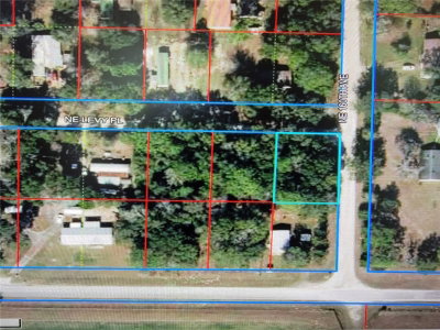 Lot 19 LEVY Place, Williston, FL, 32696 — photo 2