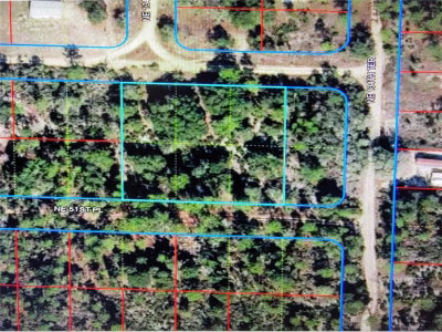 52ND Street, Williston, FL, 32696 — photo 2