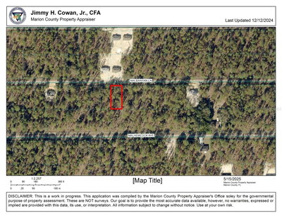 BANYAN Lane, Dunnellon, FL, 34431 — photo 2