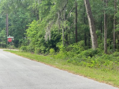 Lot 14 CHANEL HEIGHTS Court, Dunnellon, FL, 34431 — photo 2