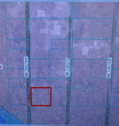135TH Terrace, Fort Mc Coy, FL, 32134 — photo 2